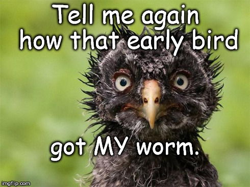 Tell me again how that early bird got MY worm. | image tagged in ahh feathers | made w/ Imgflip meme maker