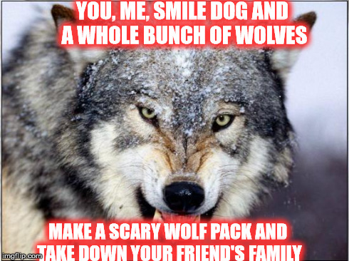 YOU, ME, SMILE DOG AND A WHOLE BUNCH OF WOLVES MAKE A SCARY WOLF PACK AND TAKE DOWN YOUR FRIEND'S FAMILY | image tagged in lol | made w/ Imgflip meme maker