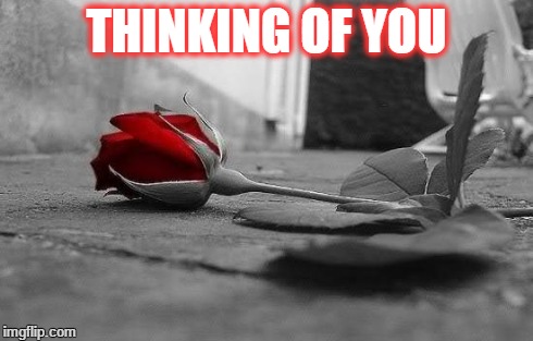 THINKING OF YOU | image tagged in love | made w/ Imgflip meme maker