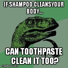 Dinosaur | IF SHAMPOO CLEANSYOUR BODY... CAN TOOTHPASTE CLEAN IT TOO? | image tagged in dinosaur | made w/ Imgflip meme maker