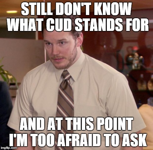 Afraid To Ask Andy Meme | STILL DON'T KNOW WHAT CUD STANDS FOR AND AT THIS POINT I'M TOO AFRAID TO ASK | image tagged in memes,afraid to ask andy | made w/ Imgflip meme maker