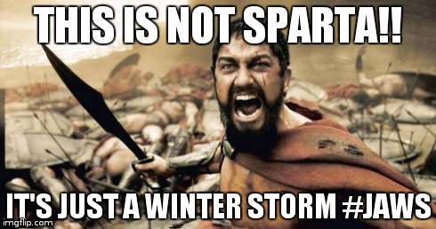 Sparta Leonidas Meme | THIS IS NOT SPARTA!! IT'S JUST A WINTER STORM #JAWS | image tagged in memes,sparta leonidas | made w/ Imgflip meme maker