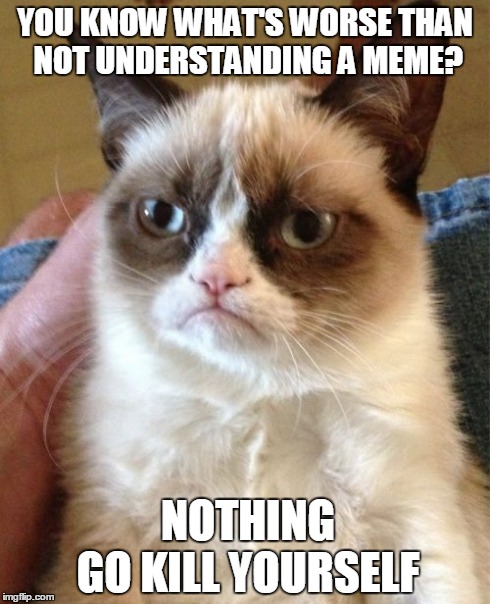 Grumpy Cat Meme | YOU KNOW WHAT'S WORSE THAN NOT UNDERSTANDING A MEME? GO KILL YOURSELF NOTHING | image tagged in memes,grumpy cat | made w/ Imgflip meme maker