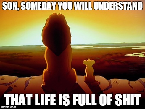 Lion King Meme | SON, SOMEDAY YOU WILL UNDERSTAND THAT LIFE IS FULL OF SHIT | image tagged in memes,lion king | made w/ Imgflip meme maker
