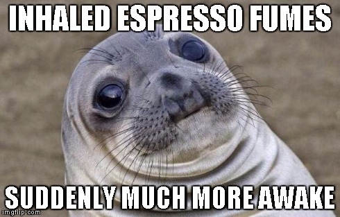 That stuff is STRONG! | INHALED ESPRESSO FUMES SUDDENLY MUCH MORE AWAKE | image tagged in memes,awkward moment sealion | made w/ Imgflip meme maker