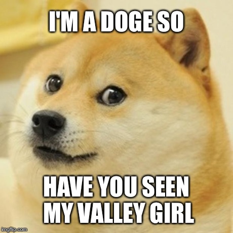 Doge Meme | I'M A DOGE SO HAVE YOU SEEN MY VALLEY GIRL | image tagged in memes,doge | made w/ Imgflip meme maker