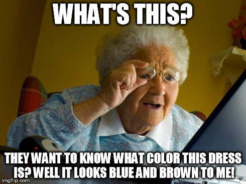 Grandma Finds The Internet Meme | WHAT'S THIS? THEY WANT TO KNOW WHAT COLOR THIS DRESS IS? WELL IT LOOKS BLUE AND BROWN TO ME! | image tagged in memes,grandma finds the internet | made w/ Imgflip meme maker