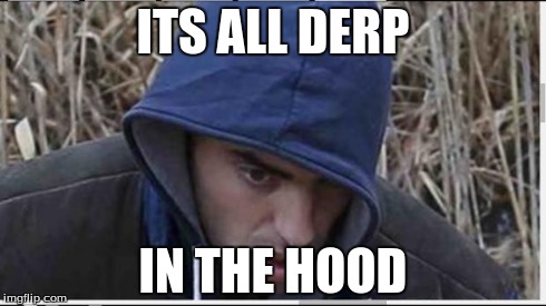 ITS ALL DERP IN THE HOOD | image tagged in derp | made w/ Imgflip meme maker