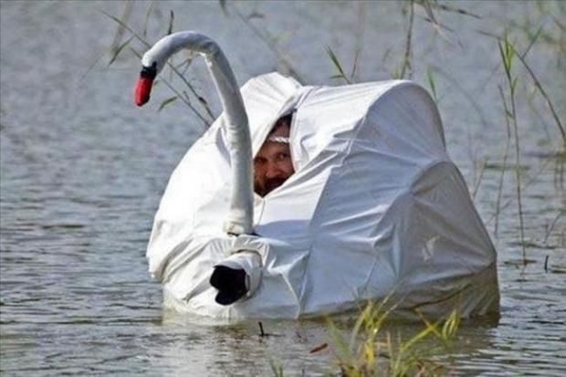High Quality Goose disguise Blank Meme Template