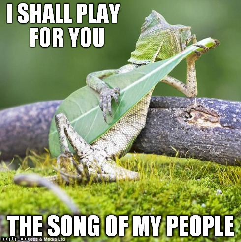 lizard guitar | I SHALL PLAY FOR YOU THE SONG OF MY PEOPLE | image tagged in lizard guitar | made w/ Imgflip meme maker