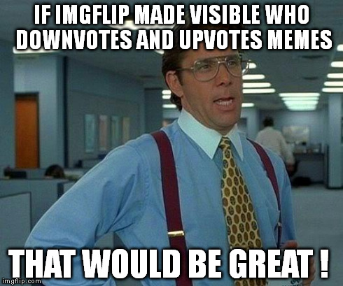 That Would Be Great Meme | IF IMGFLIP MADE VISIBLE WHO DOWNVOTES AND UPVOTES MEMES THAT WOULD BE GREAT ! | image tagged in memes,that would be great | made w/ Imgflip meme maker