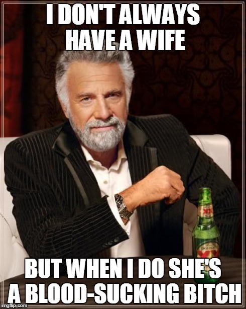 The Most Interesting Man In The World Meme | I DON'T ALWAYS HAVE A WIFE BUT WHEN I DO SHE'S A BLOOD-SUCKING B**CH | image tagged in memes,the most interesting man in the world | made w/ Imgflip meme maker