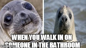 Awkward moment sealions | WHEN YOU WALK IN ON SOMEONE IN THE BATHROOM | image tagged in funny,memes,awkward moment sealion,best,bathroom | made w/ Imgflip meme maker