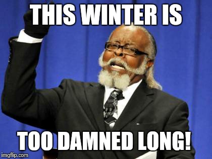 Too Damn High | THIS WINTER IS TOO DAMNED LONG! | image tagged in memes,too damn high | made w/ Imgflip meme maker