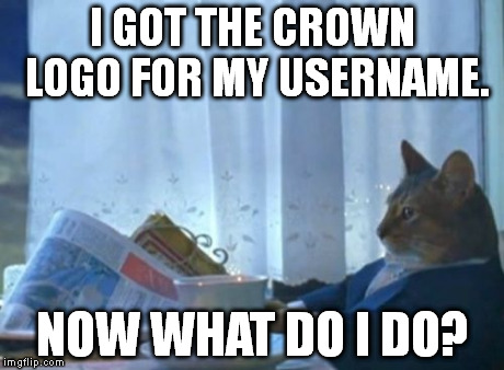 The next icon requires 9,999,999 points. :| | I GOT THE CROWN LOGO FOR MY USERNAME. NOW WHAT DO I DO? | image tagged in memes,i should buy a boat cat | made w/ Imgflip meme maker
