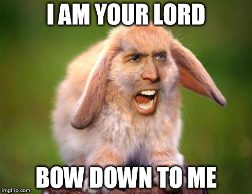I AM YOUR LORD BOW DOWN TO ME | image tagged in nicholas cage | made w/ Imgflip meme maker