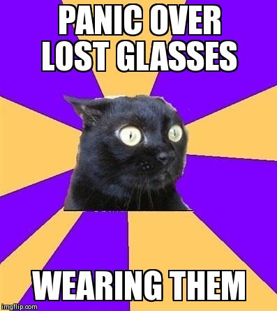 Lost Glasses | PANIC OVER LOST GLASSES WEARING THEM | image tagged in anxiety cat | made w/ Imgflip meme maker