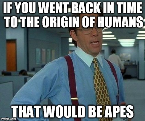 That Would Be Great Meme | IF YOU WENT BACK IN TIME TO THE ORIGIN OF HUMANS THAT WOULD BE APES | image tagged in memes,that would be great | made w/ Imgflip meme maker