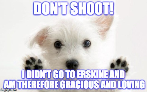 Paws Up | DON'T SHOOT! I DIDN'T GO TO ERSKINE AND AM THEREFORE GRACIOUS AND LOVING | image tagged in paws up | made w/ Imgflip meme maker