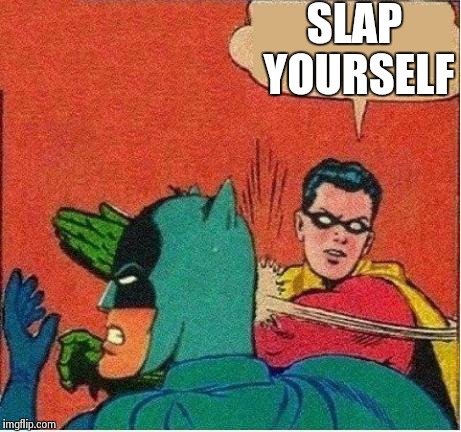 Robin Just Don't Care | SLAP YOURSELF | image tagged in robin just don't care | made w/ Imgflip meme maker