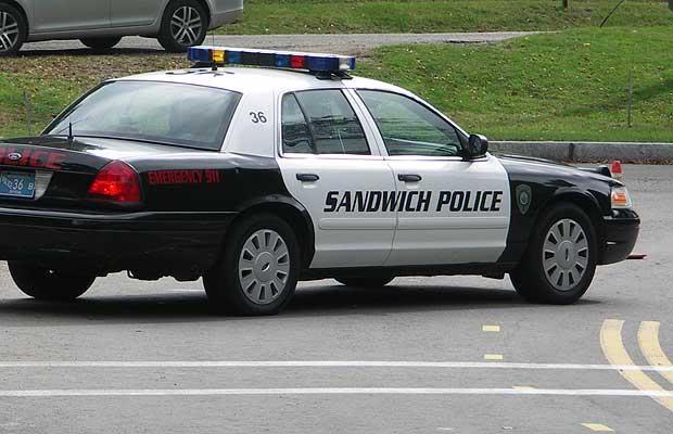 High Quality Sandwich Police Blank Meme Template