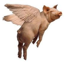 High Quality Flying Pig Blank Meme Template