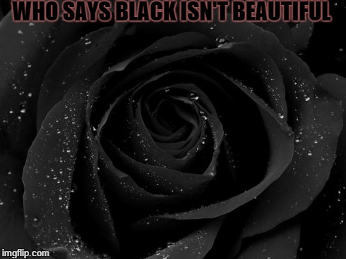 rose | WHO SAYS BLACK ISN'T BEAUTIFUL | image tagged in rose | made w/ Imgflip meme maker