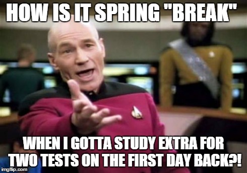 Picard Wtf | HOW IS IT SPRING "BREAK" WHEN I GOTTA STUDY EXTRA FOR TWO TESTS ON THE FIRST DAY BACK?! | image tagged in memes,picard wtf | made w/ Imgflip meme maker