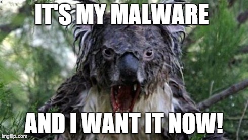 Angry Koala Meme | IT'S MY MALWARE AND I WANT IT NOW! | image tagged in memes,angry koala | made w/ Imgflip meme maker