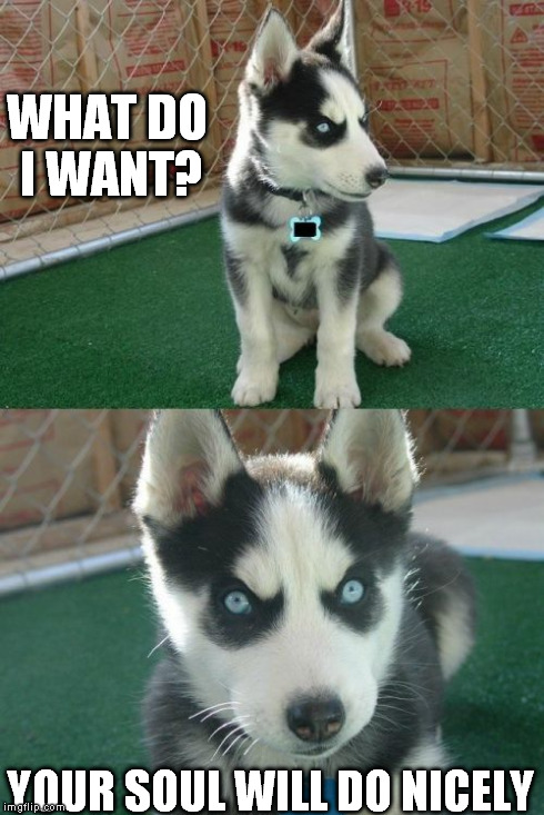 Insanity Puppy Meme | WHAT DO I WANT? YOUR SOUL WILL DO NICELY | image tagged in memes,insanity puppy | made w/ Imgflip meme maker