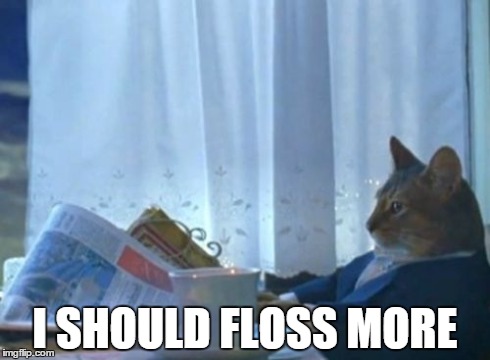 I Should Buy A Boat Cat | I SHOULD FLOSS MORE | image tagged in memes,i should buy a boat cat,AdviceAnimals | made w/ Imgflip meme maker