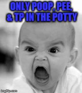 Angry Baby Meme | ONLY POOP, PEE, & TP IN THE POTTY | image tagged in memes,angry baby | made w/ Imgflip meme maker