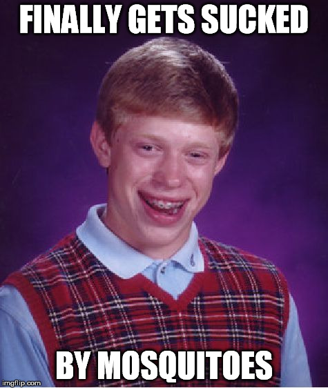 Bad Luck Brian Meme | FINALLY GETS SUCKED BY MOSQUITOES | image tagged in memes,bad luck brian | made w/ Imgflip meme maker
