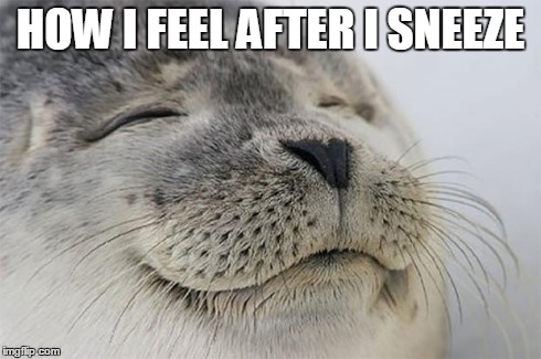 Satisfied Seal Meme | HOW I FEEL AFTER I SNEEZE | image tagged in memes,satisfied seal | made w/ Imgflip meme maker