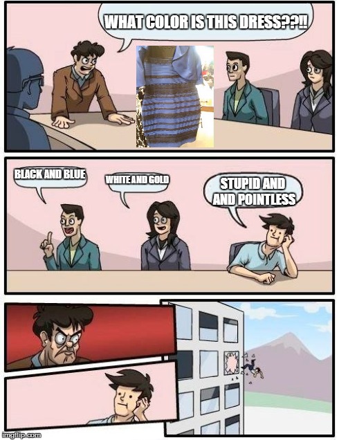 I wonder about people sometimes. They fight over the stupidest of things.aaaaand i put in 2 ands | WHAT COLOR IS THIS DRESS??!! BLACK AND BLUE WHITE AND GOLD STUPID AND AND POINTLESS | image tagged in memes,boardroom meeting suggestion,stupidity | made w/ Imgflip meme maker