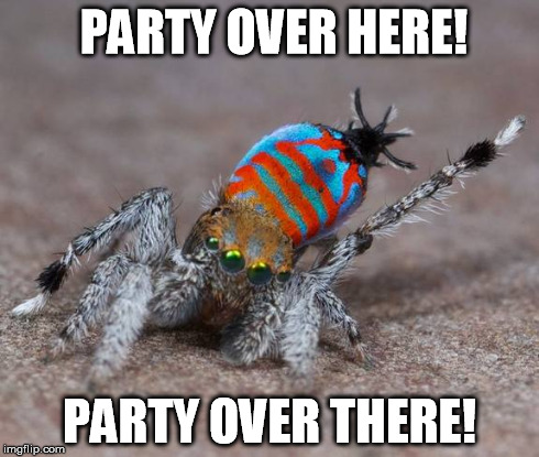 The Awesome and Abitrary Arachnid | PARTY OVER HERE! PARTY OVER THERE! | image tagged in spider,dancing | made w/ Imgflip meme maker