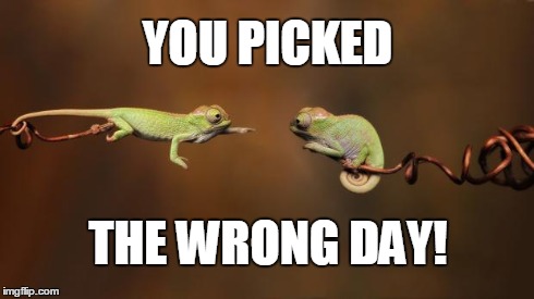 YOU PICKED THE WRONG DAY! | image tagged in pickdwrongday | made w/ Imgflip meme maker