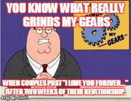 You know what really grinds my gears | YOU KNOW WHAT REALLY GRINDS MY GEARS WHEN COUPLES POST "I LOVE YOU FOREVER..." AFTER TWO WEEKS OF THEIR RELATIONSHIP. | image tagged in you know what really grinds my gears | made w/ Imgflip meme maker