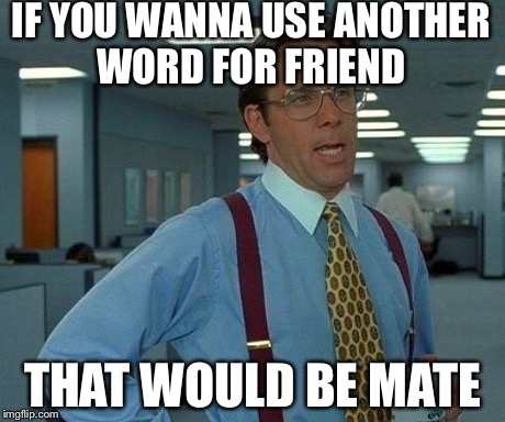 That Would Be Great Meme | IF YOU WANNA USE ANOTHER WORD FOR FRIEND THAT WOULD BE MATE | image tagged in memes,that would be great | made w/ Imgflip meme maker