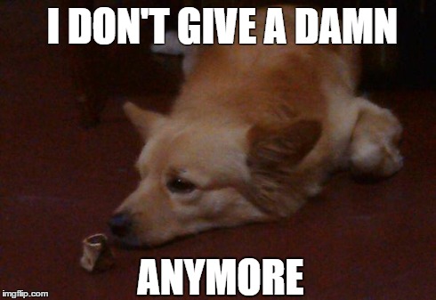 I DON'T GIVE A DAMN ANYMORE | I DON'T GIVE A DAMN ANYMORE | image tagged in ignore,damn,i don't care | made w/ Imgflip meme maker