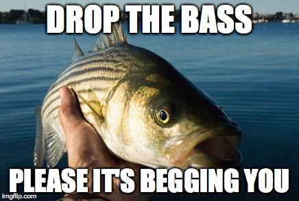 DROP THE BASS PLEASE IT'S BEGGING YOU | image tagged in nonotthatbass | made w/ Imgflip meme maker