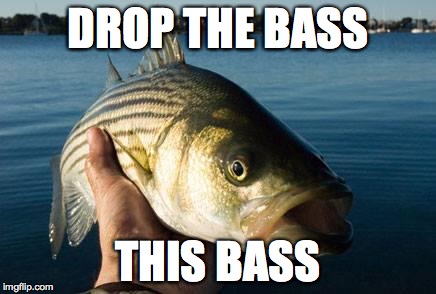 nonotthatbass | DROP THE BASS THIS BASS | image tagged in nonotthatbass | made w/ Imgflip meme maker