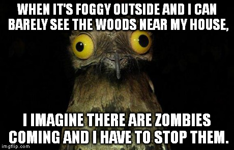 Weird Stuff I Do Potoo | WHEN IT'S FOGGY OUTSIDE AND I CAN BARELY SEE THE WOODS NEAR MY HOUSE, I IMAGINE THERE ARE ZOMBIES COMING AND I HAVE TO STOP THEM. | image tagged in memes,weird stuff i do potoo | made w/ Imgflip meme maker