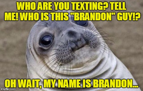 Awkward Moment Sealion | WHO ARE YOU TEXTING? TELL ME! WHO IS THIS "BRANDON" GUY!? OH WAIT, MY NAME IS BRANDON... | image tagged in memes,awkward moment sealion | made w/ Imgflip meme maker