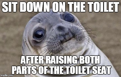 Awkward Moment Sealion | SIT DOWN ON THE TOILET AFTER RAISING BOTH PARTS OF THE TOILET SEAT | image tagged in memes,awkward moment sealion,AdviceAnimals | made w/ Imgflip meme maker