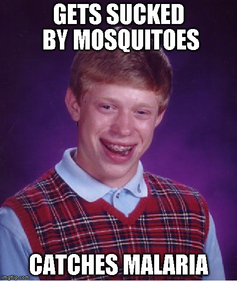 Bad Luck Brian Meme | GETS SUCKED BY MOSQUITOES CATCHES MALARIA | image tagged in memes,bad luck brian | made w/ Imgflip meme maker