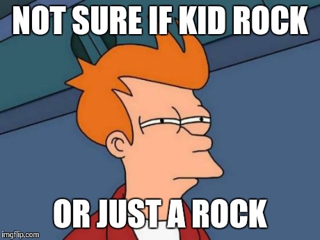 Futurama Fry | NOT SURE IF KID ROCK OR JUST A ROCK | image tagged in memes,futurama fry | made w/ Imgflip meme maker