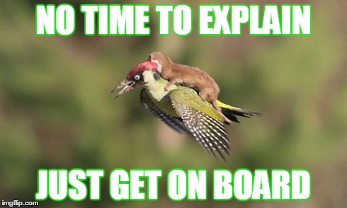 Weasel Rides a Woodpecker | NO TIME TO EXPLAIN JUST GET ON BOARD | image tagged in woody,memes | made w/ Imgflip meme maker