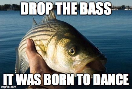 nonotthatbass | DROP THE BASS IT WAS BORN TO DANCE | image tagged in nonotthatbass | made w/ Imgflip meme maker