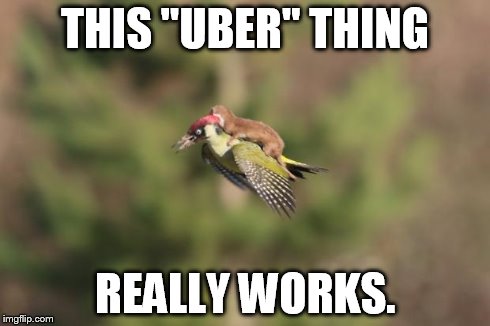 Hummbingbird | THIS "UBER" THING REALLY WORKS. | image tagged in hummbingbird | made w/ Imgflip meme maker